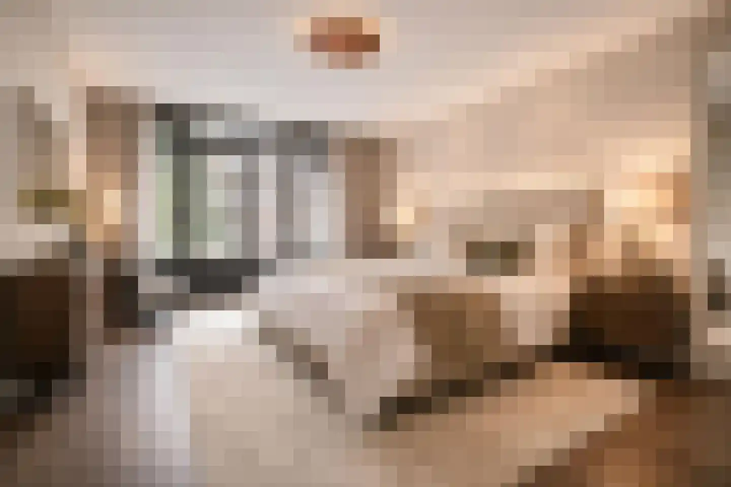 Parnassusweg 11 3 Amsterdam thumbnail 20