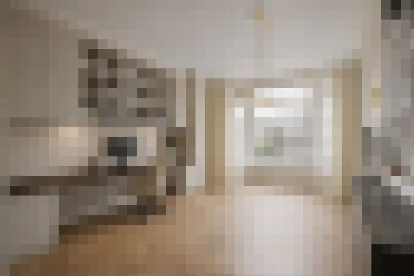 Parnassusweg 11 3 Amsterdam thumbnail 22