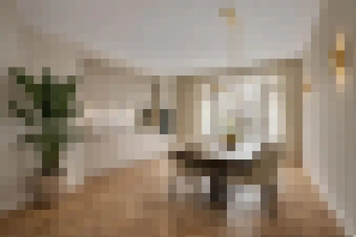 Parnassusweg 11 3 Amsterdam thumbnail 31
