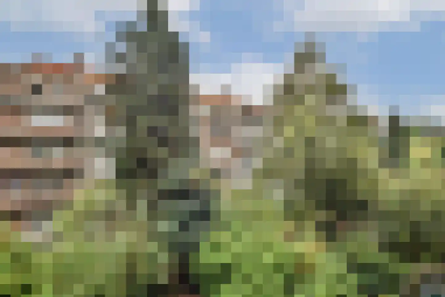Parnassusweg 11 3 Amsterdam thumbnail 8