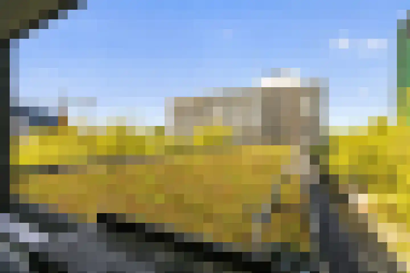 Parnassusweg 117 Amsterdam thumbnail 15
