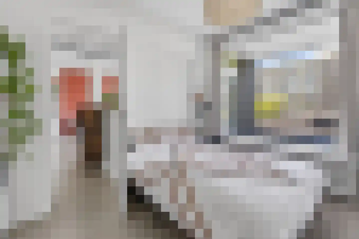 Parnassusweg 117 Amsterdam thumbnail 18