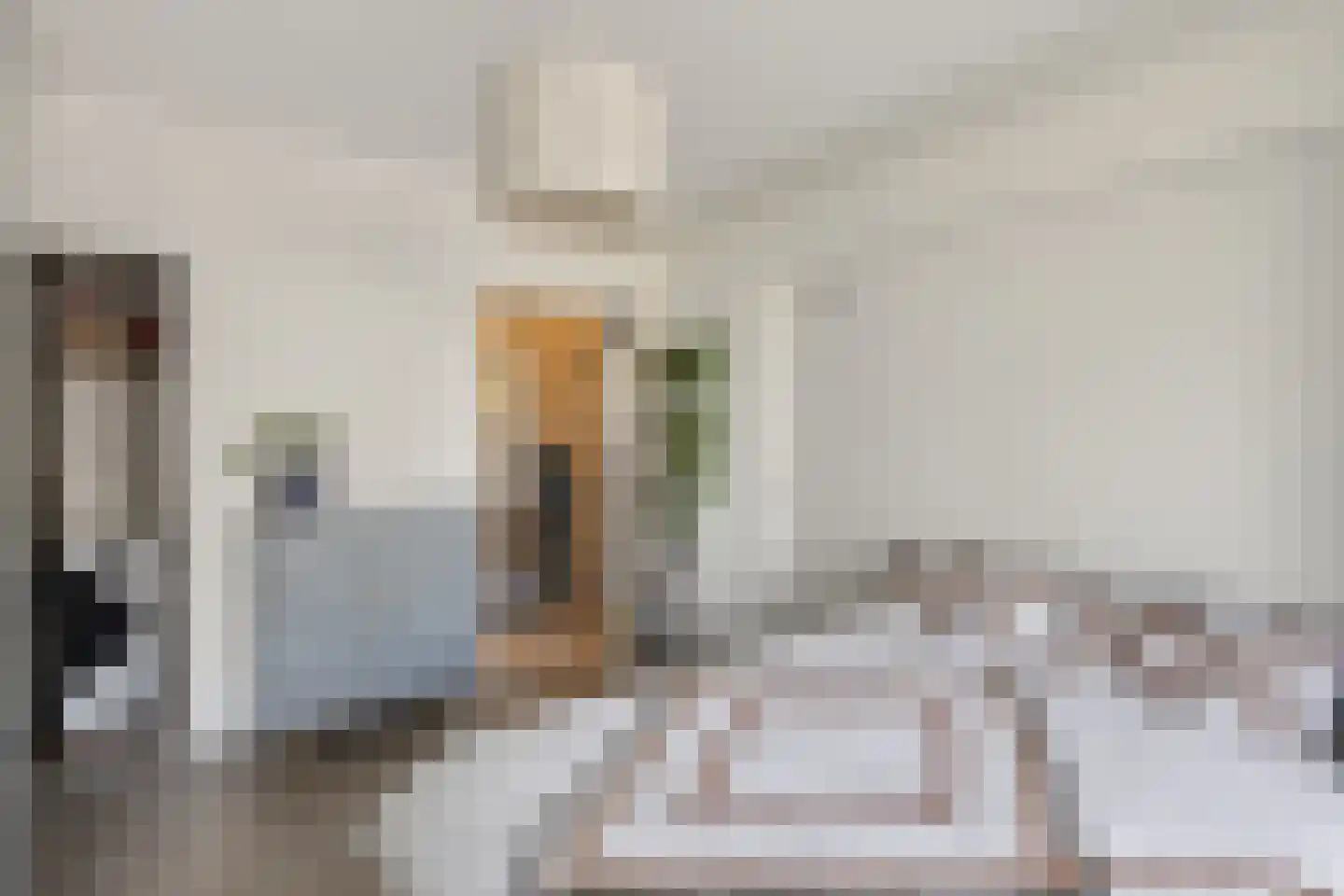 Parnassusweg 117 Amsterdam thumbnail 21