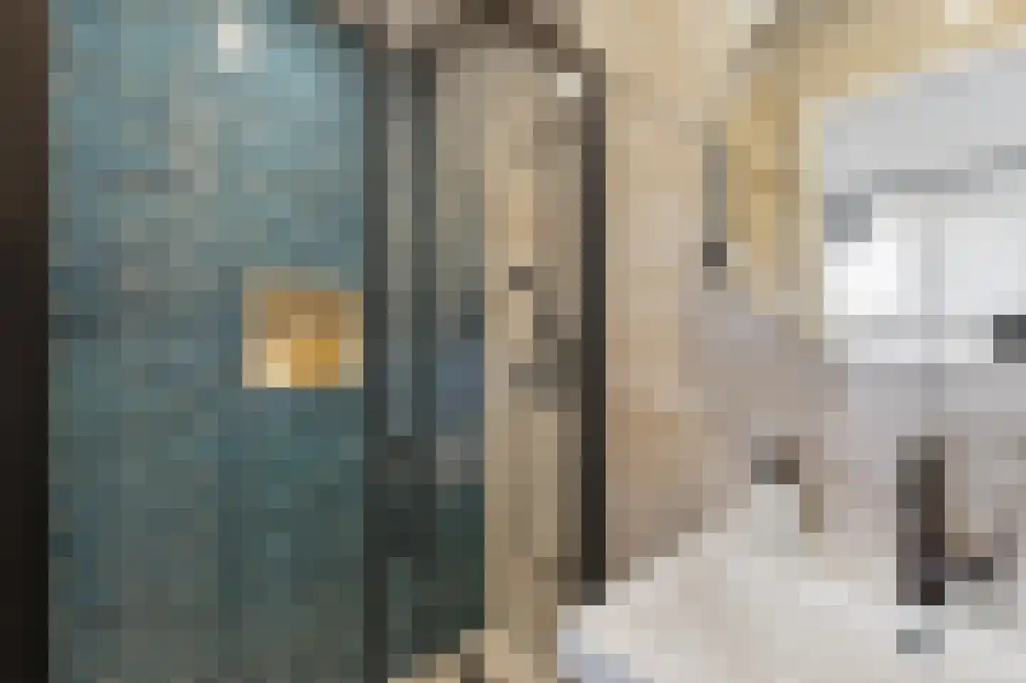 Parnassusweg 117 Amsterdam thumbnail 24