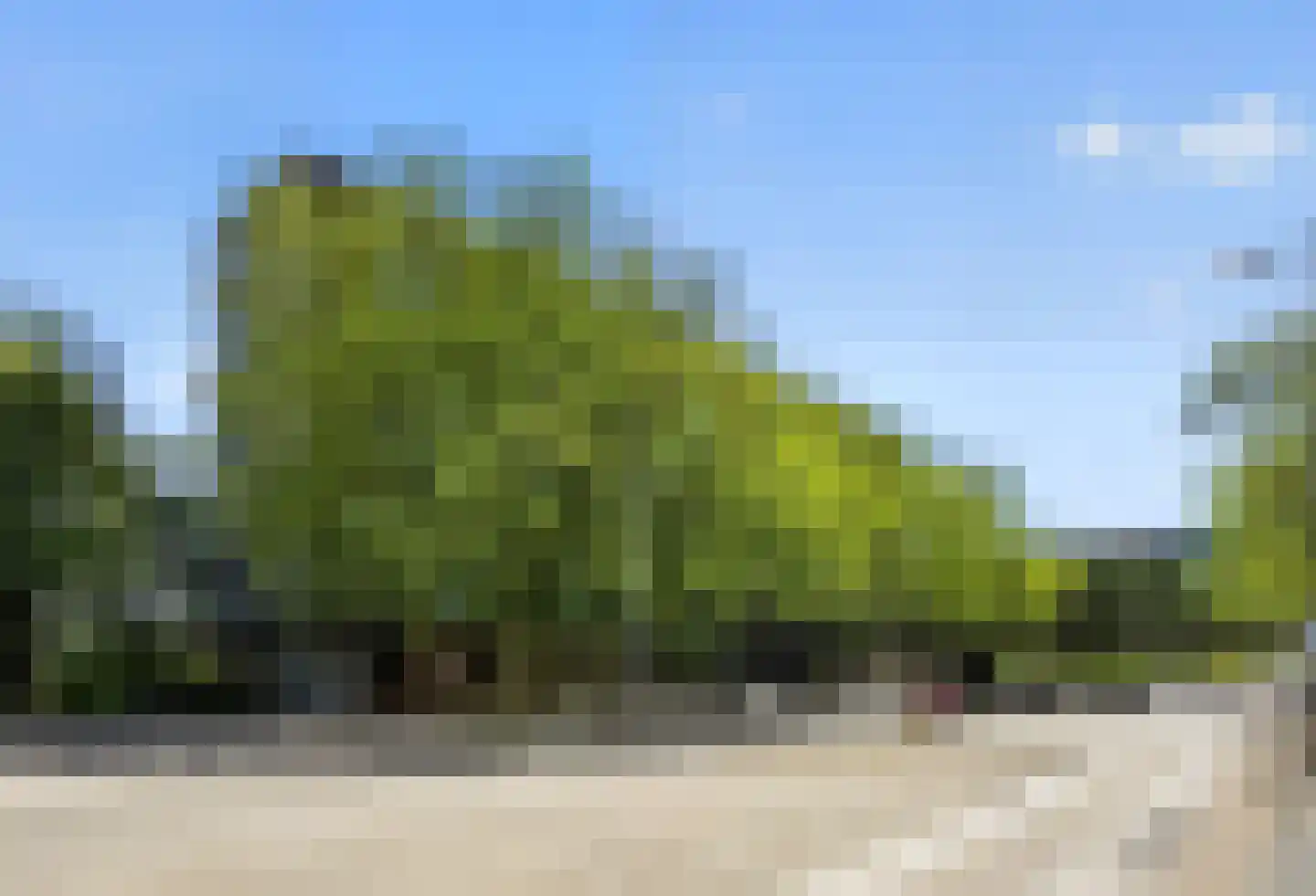 Parnassusweg 117 Amsterdam thumbnail 27