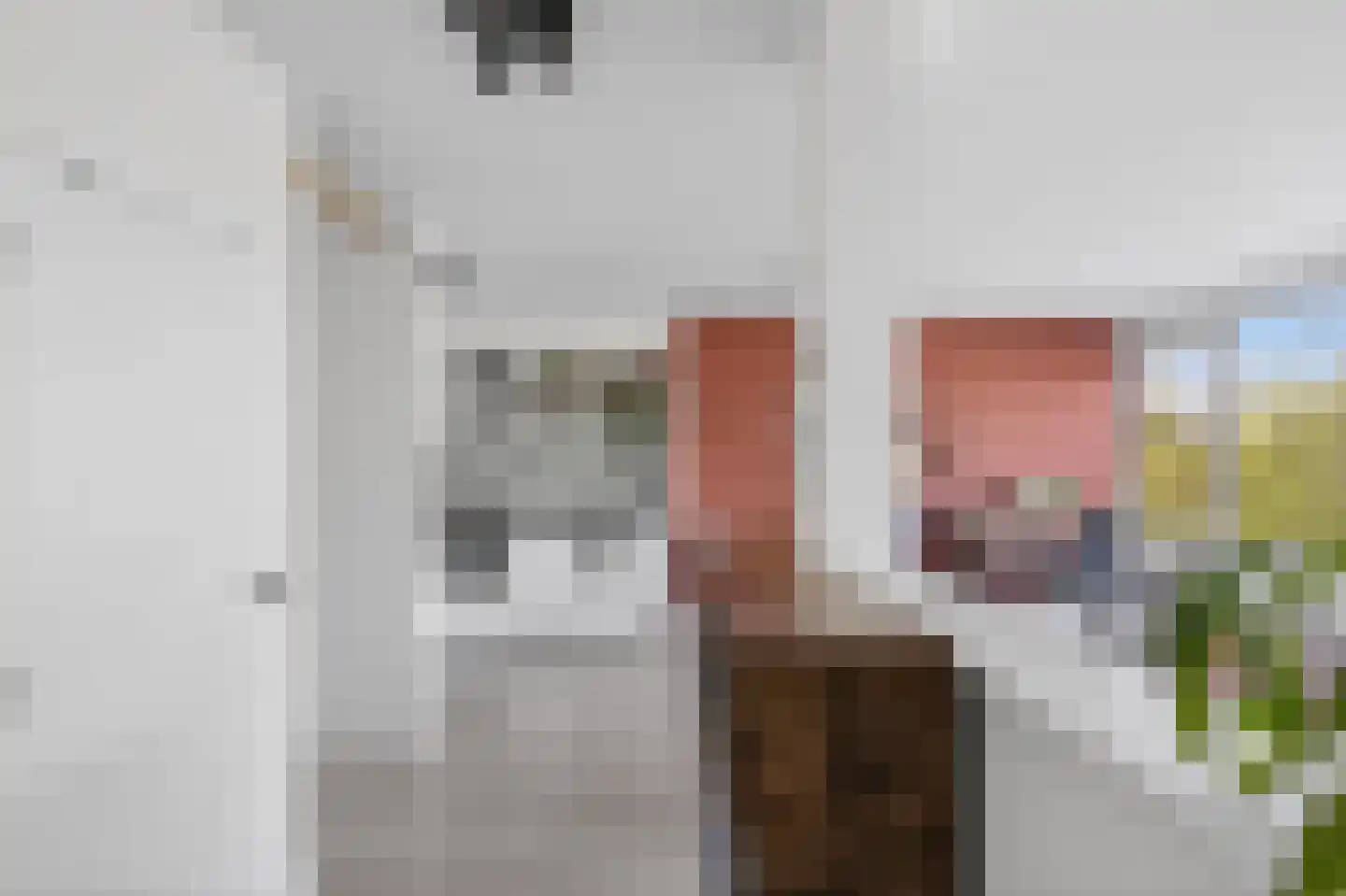 Parnassusweg 117 Amsterdam thumbnail 4