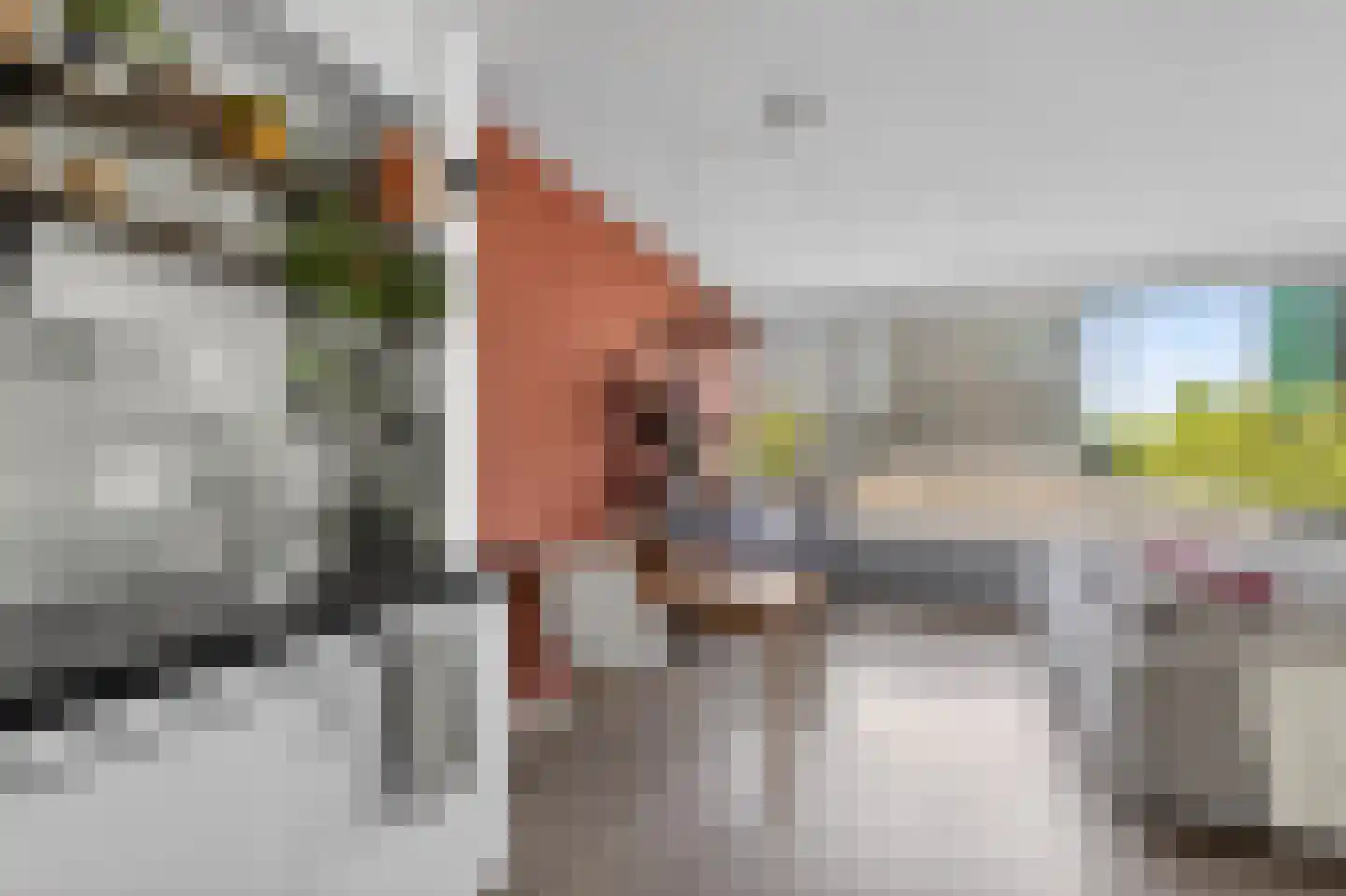 Parnassusweg 117 Amsterdam thumbnail 8