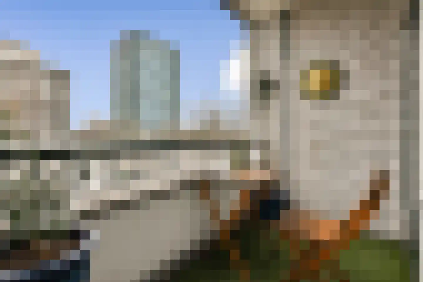 Parnassusweg 119 Amsterdam thumbnail 11