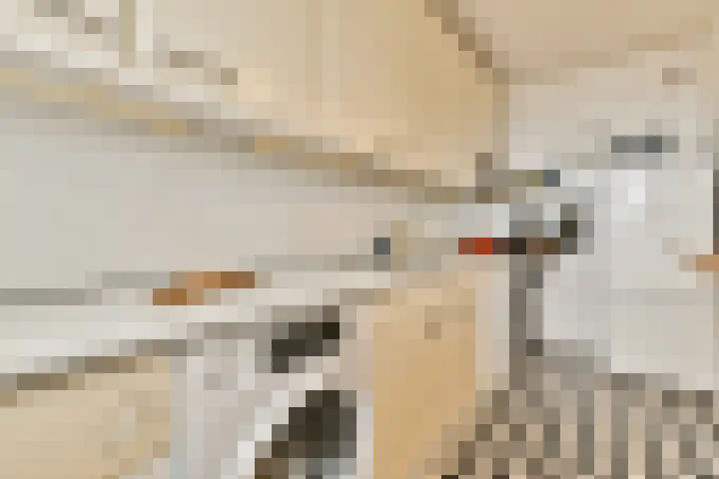 Parnassusweg 119 Amsterdam thumbnail 19