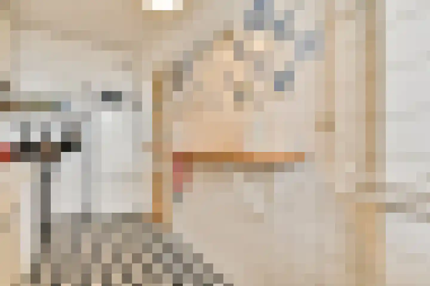 Parnassusweg 119 Amsterdam thumbnail 20