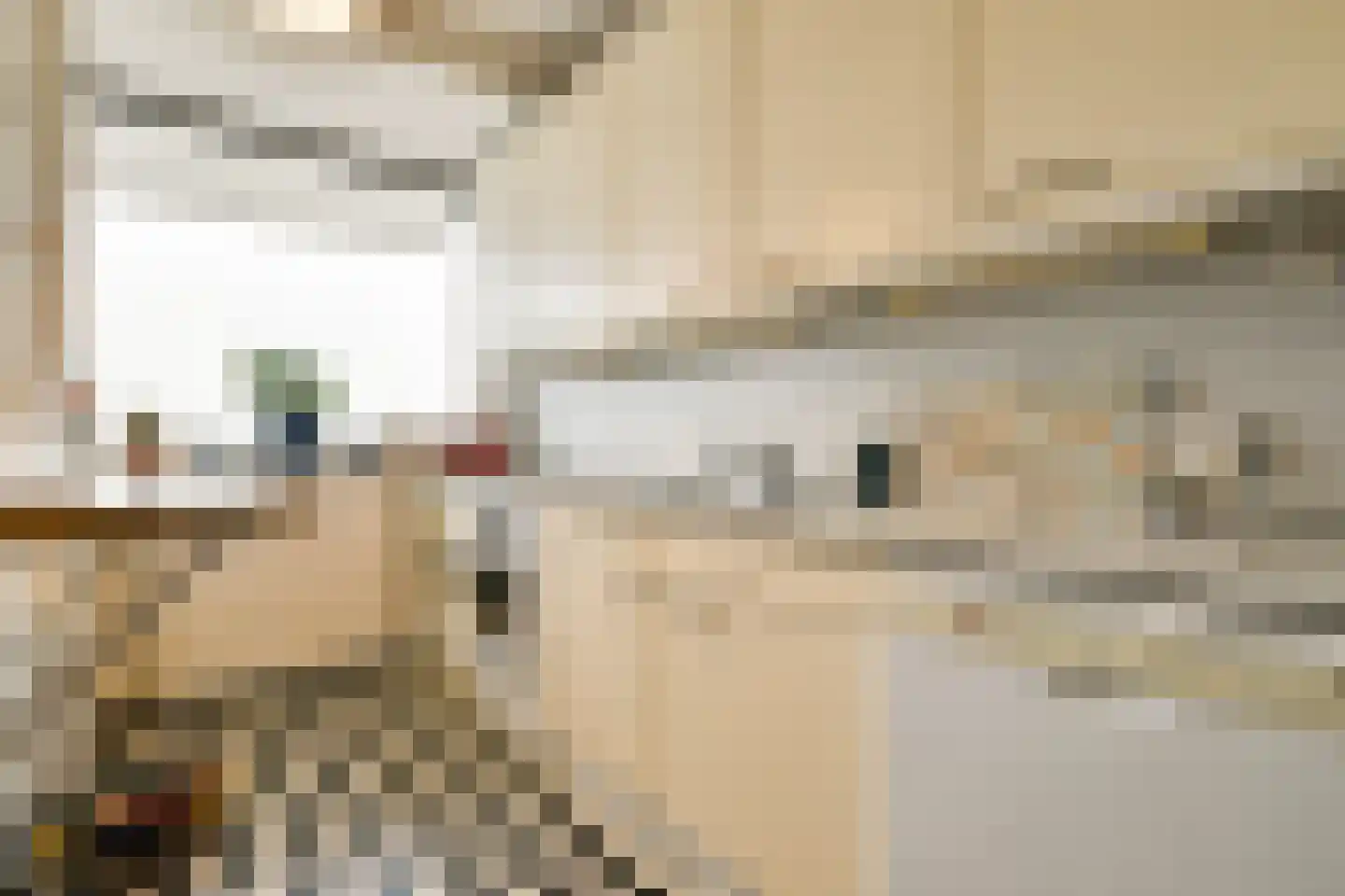 Parnassusweg 119 Amsterdam thumbnail 21