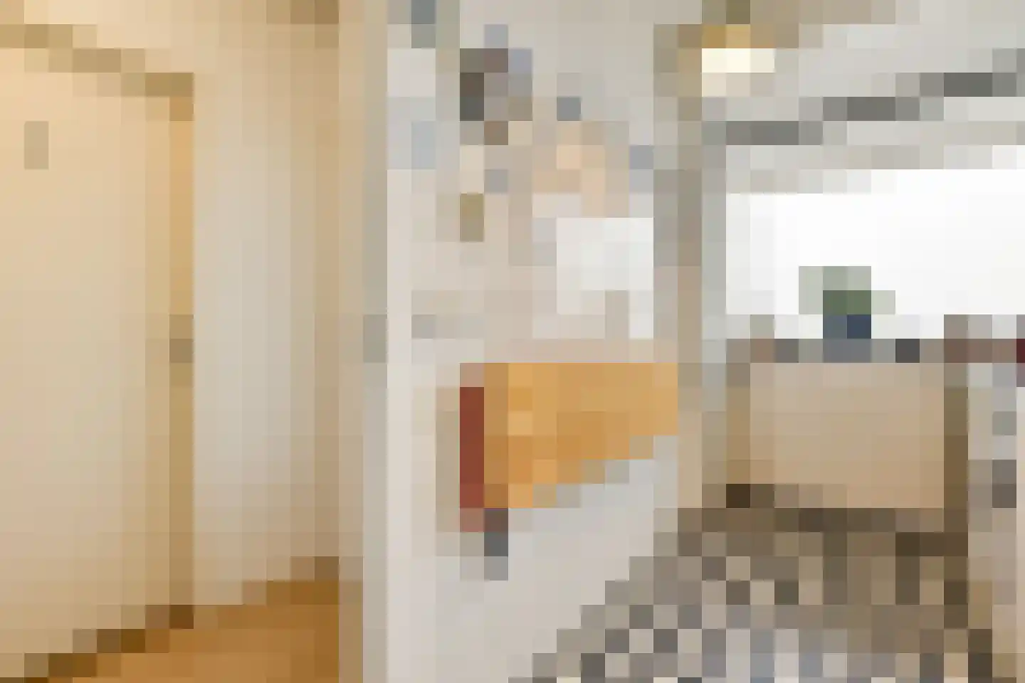 Parnassusweg 119 Amsterdam thumbnail 22
