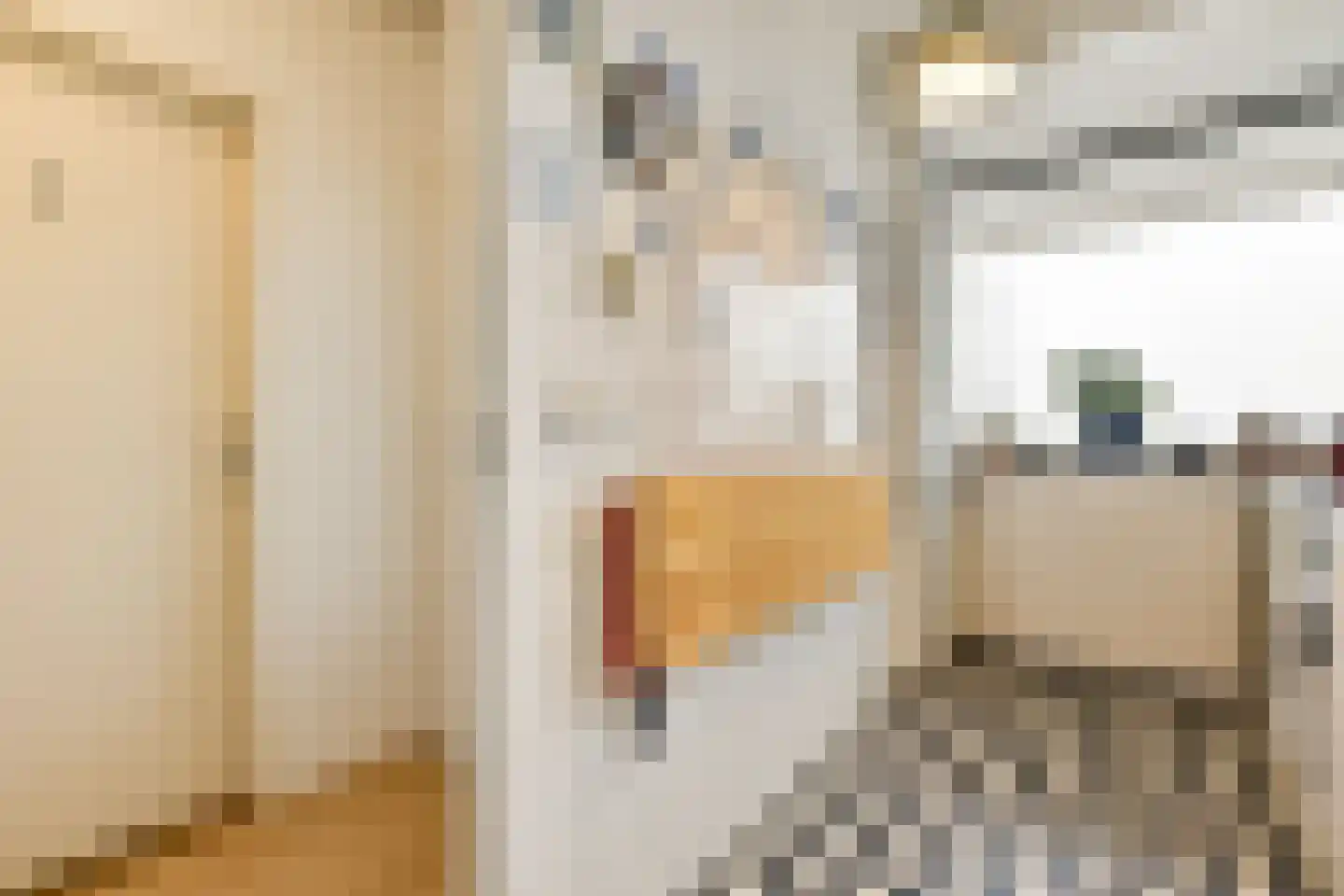 Parnassusweg 119 Amsterdam thumbnail 22