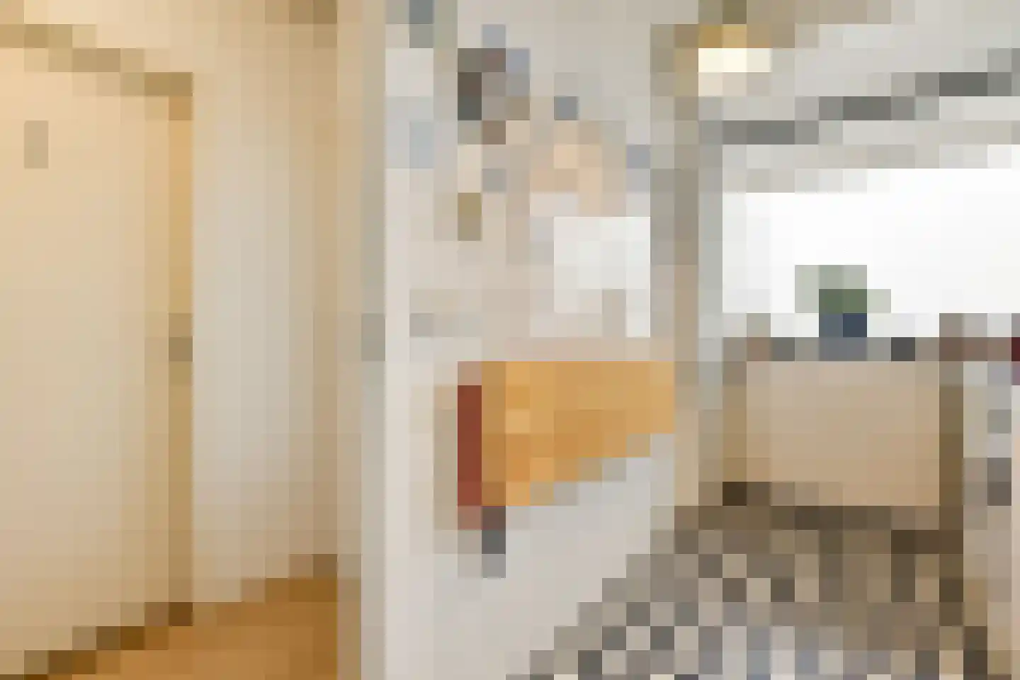 Parnassusweg 119 Amsterdam thumbnail 23