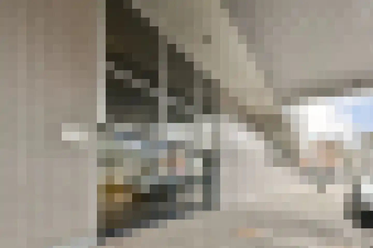 Parnassusweg 119 Amsterdam thumbnail 24