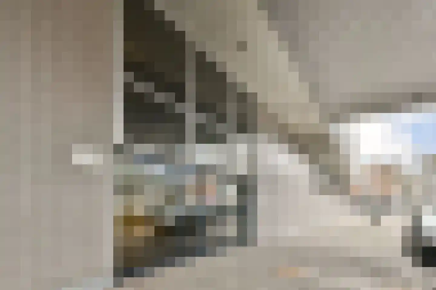 Parnassusweg 119 Amsterdam thumbnail 24