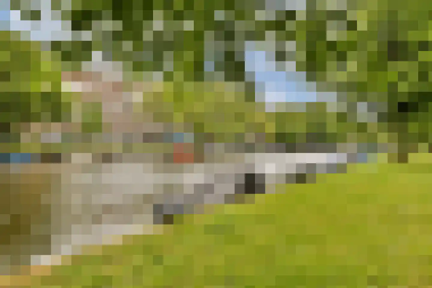 Parnassusweg 119 Amsterdam thumbnail 26