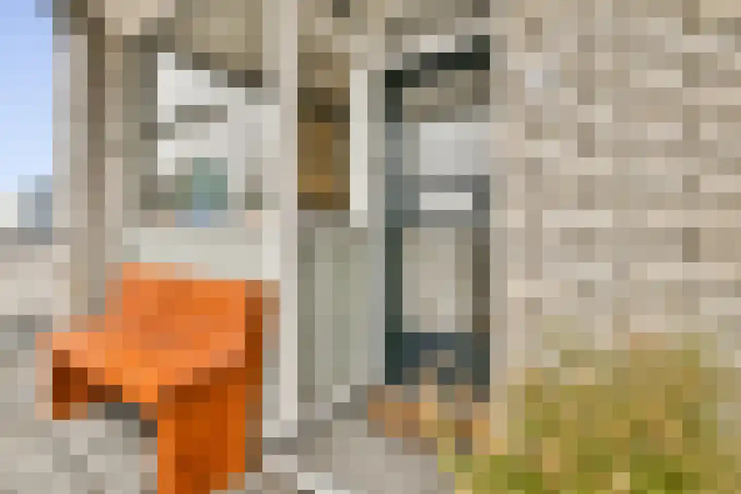 Parnassusweg 119 Amsterdam thumbnail 4