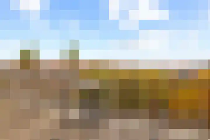 Parnassusweg 12 4 Amsterdam thumbnail 13