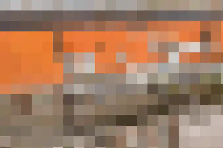 Parnassusweg 12 4 Amsterdam thumbnail 14