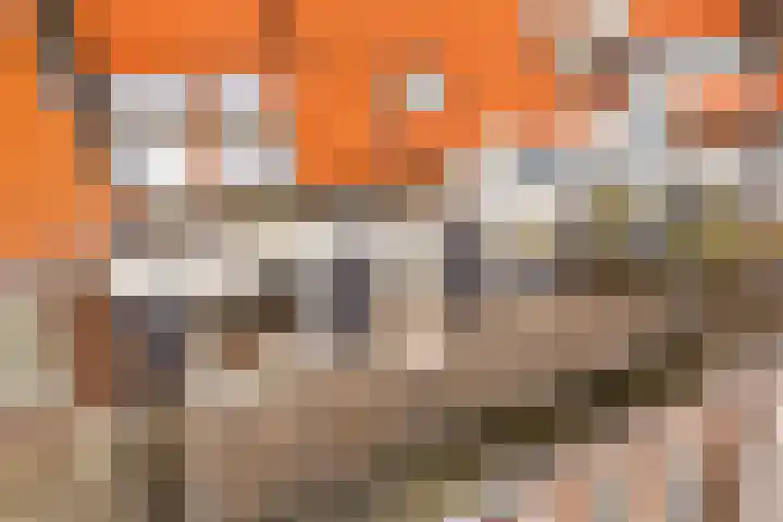 Parnassusweg 12 4 Amsterdam thumbnail 15