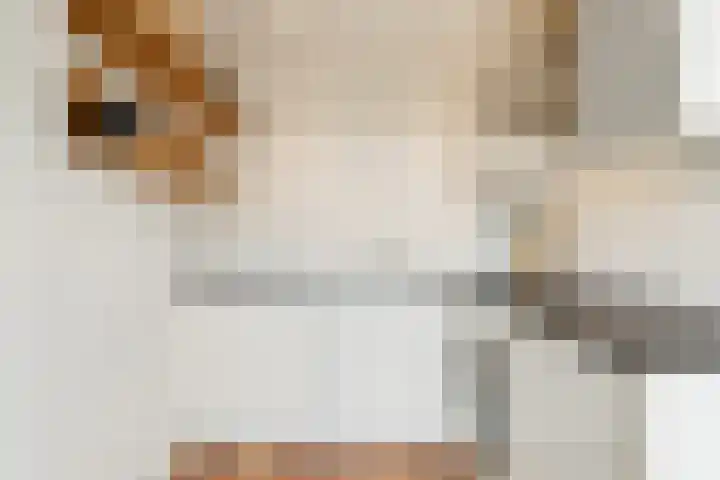 Parnassusweg 12 4 Amsterdam thumbnail 16