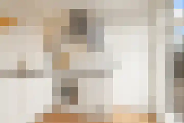Parnassusweg 12 4 Amsterdam thumbnail 17
