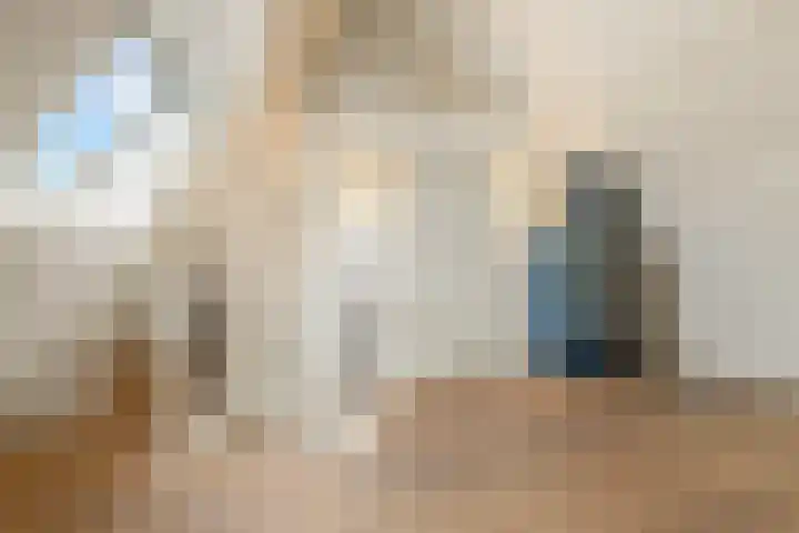 Parnassusweg 12 4 Amsterdam thumbnail 19