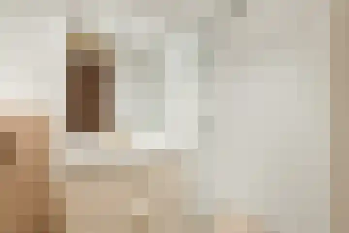 Parnassusweg 12 4 Amsterdam thumbnail 24