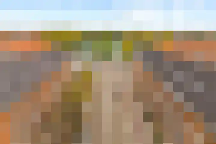 Parnassusweg 12 4 Amsterdam thumbnail 27