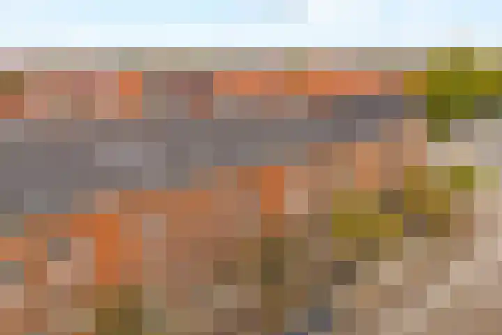 Parnassusweg 12 4 Amsterdam thumbnail 28