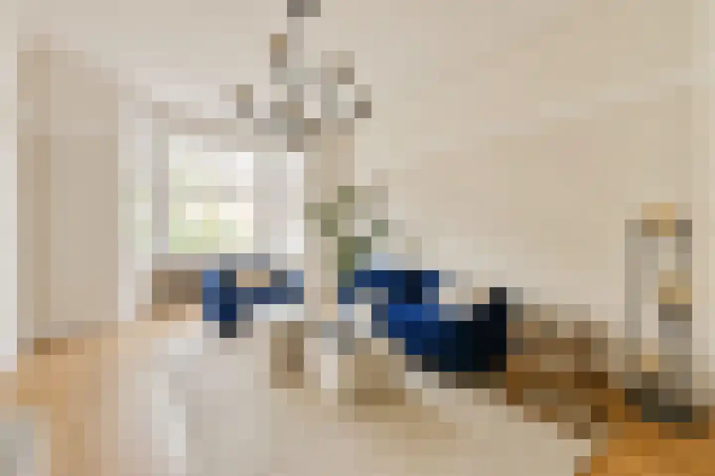 Parnassusweg 14 H Amsterdam