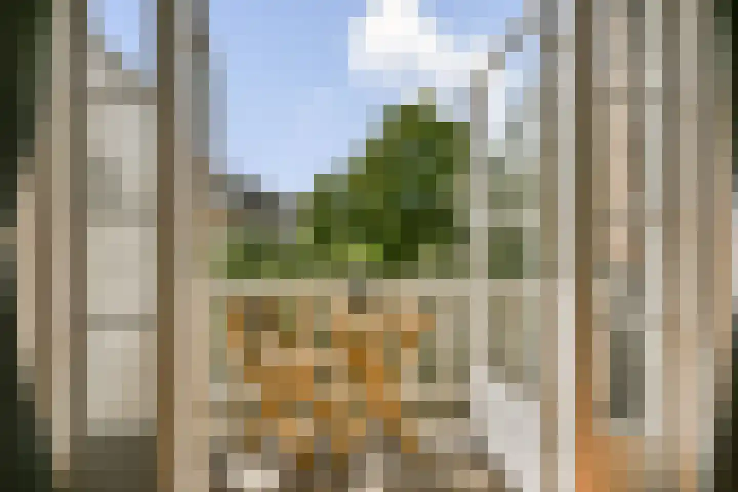 Parnassusweg 14 H Amsterdam thumbnail 11