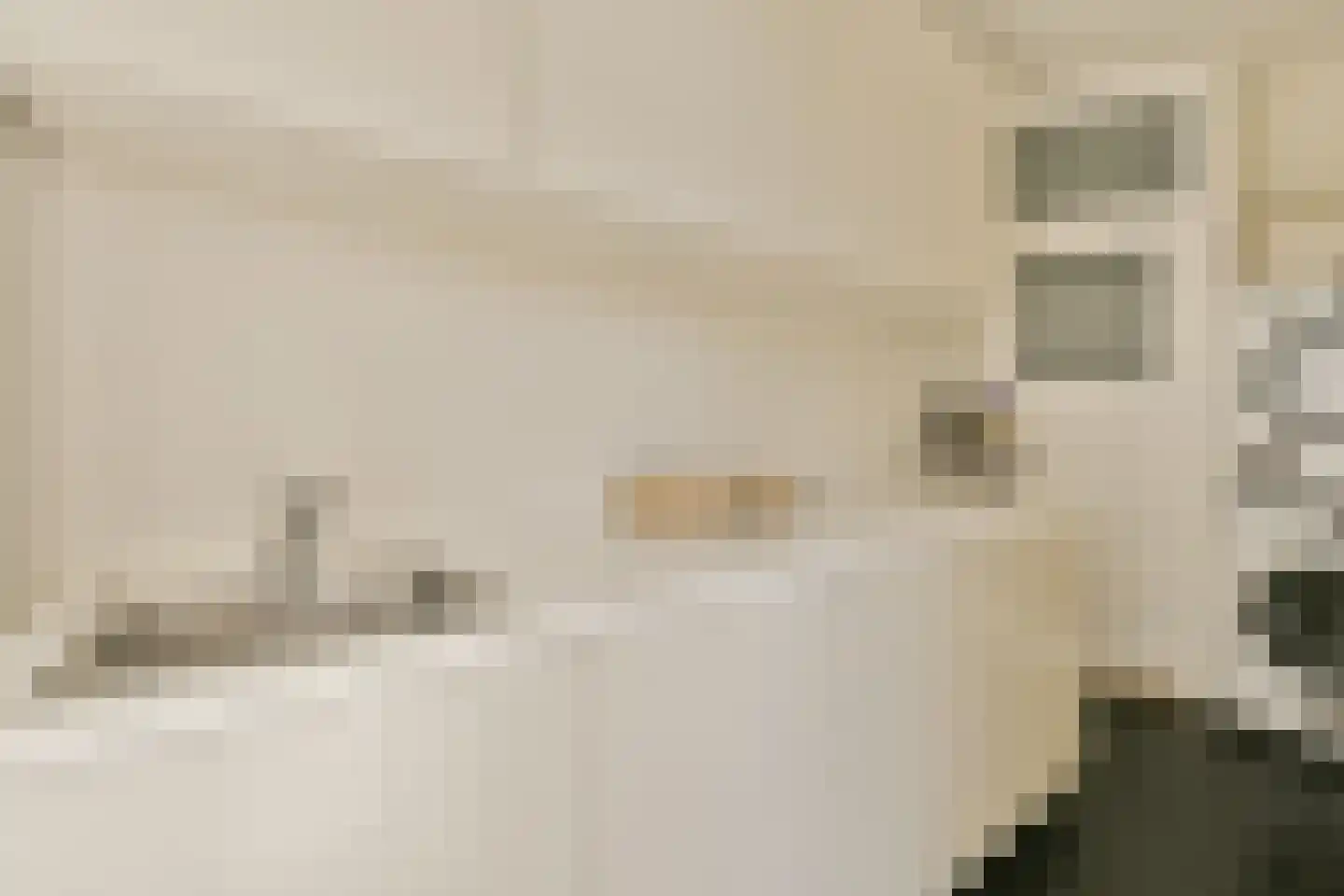 Parnassusweg 14 H Amsterdam thumbnail 17