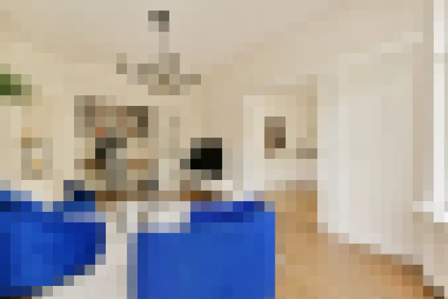 Parnassusweg 14 H Amsterdam thumbnail 4