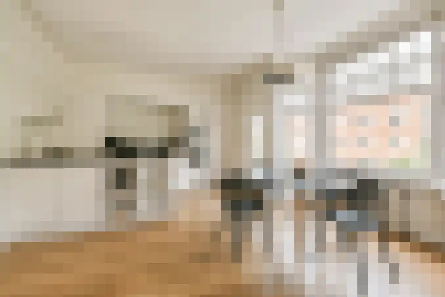 Parnassusweg 14 H Amsterdam thumbnail 6
