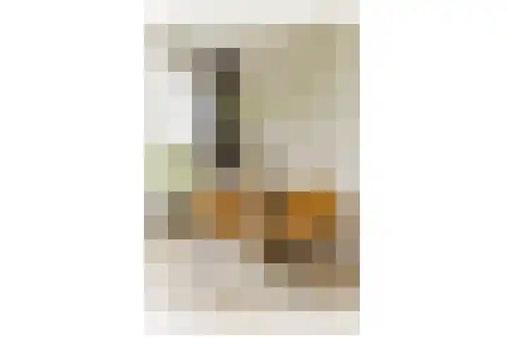 Parnassusweg 142 Amsterdam thumbnail 11