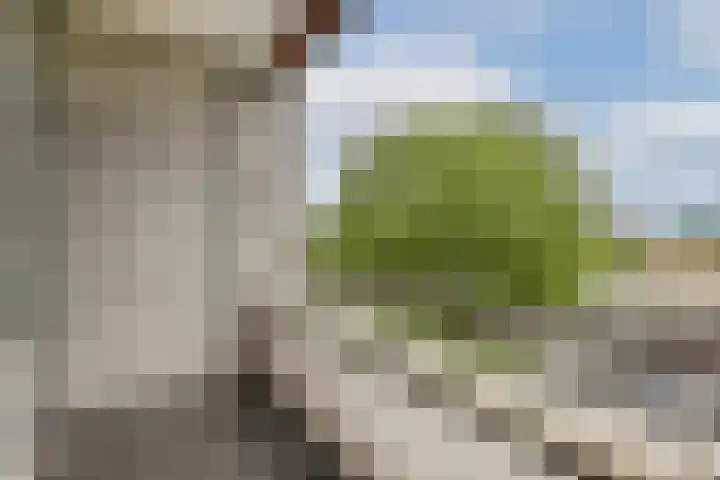 Parnassusweg 142 Amsterdam thumbnail 14