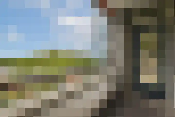 Parnassusweg 142 Amsterdam thumbnail 15