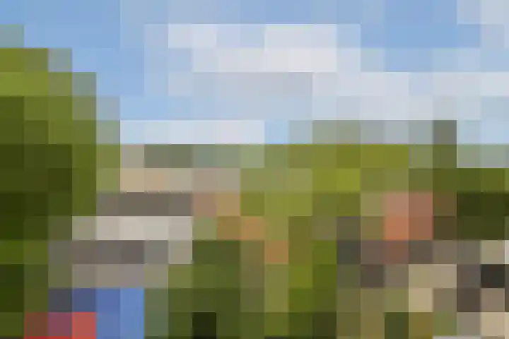 Parnassusweg 142 Amsterdam thumbnail 16