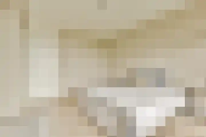 Parnassusweg 142 Amsterdam thumbnail 18