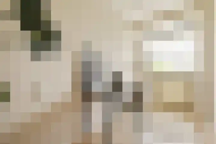 Parnassusweg 142 Amsterdam thumbnail 21