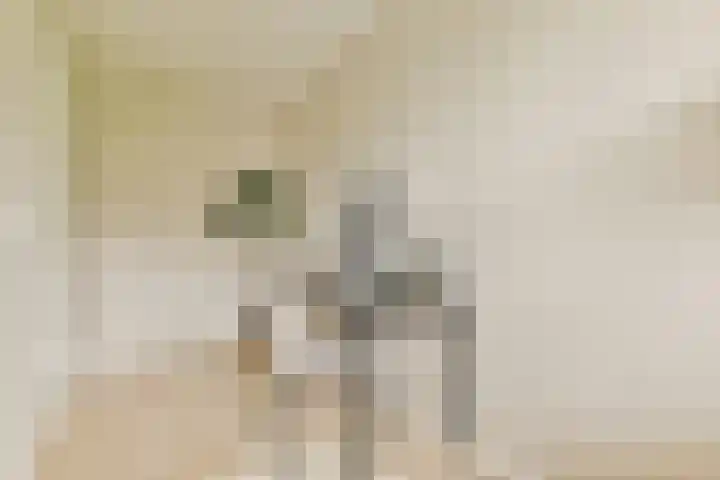 Parnassusweg 142 Amsterdam thumbnail 22