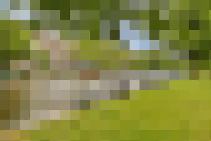 Parnassusweg 142 Amsterdam thumbnail 28