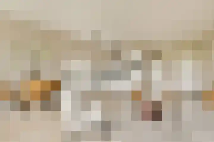 Parnassusweg 142 Amsterdam thumbnail 30