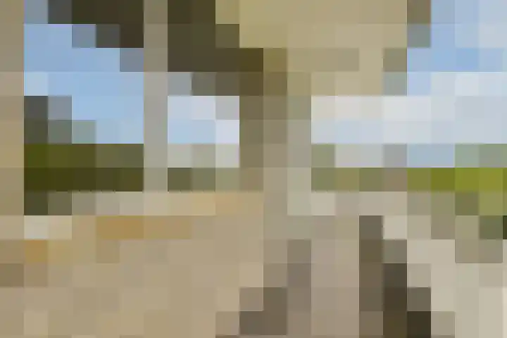 Parnassusweg 142 Amsterdam thumbnail 5