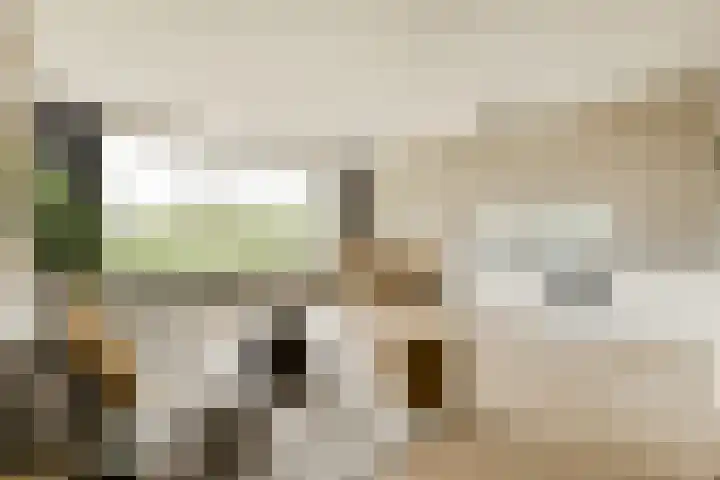 Parnassusweg 142 Amsterdam thumbnail 8