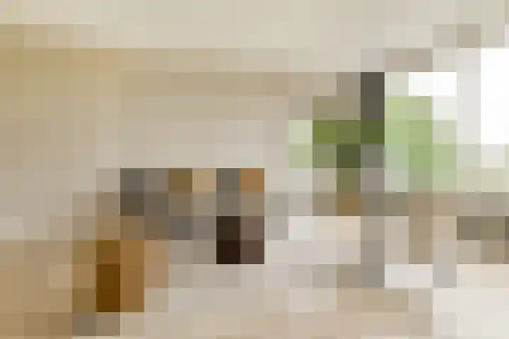 Parnassusweg 142 Amsterdam thumbnail 9