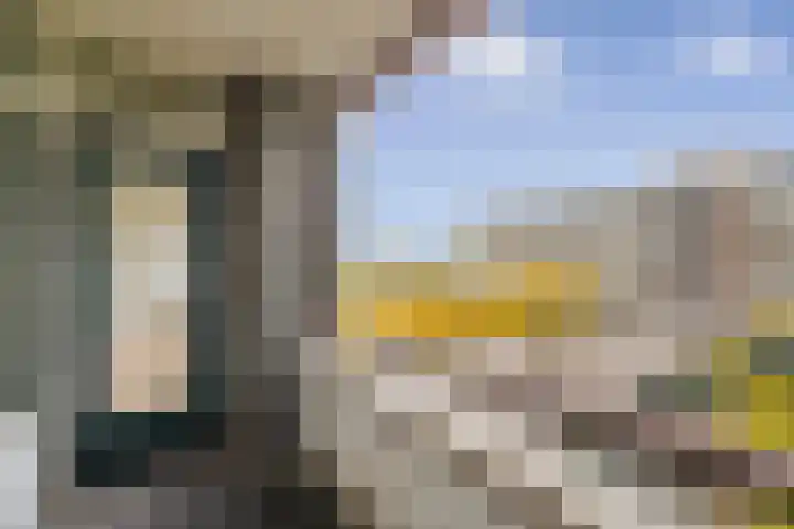 Parnassusweg 147 Amsterdam thumbnail 10