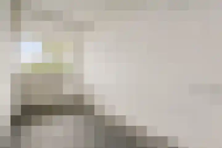 Parnassusweg 147 Amsterdam thumbnail 20
